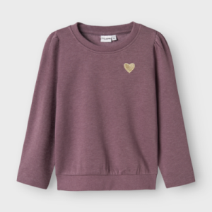 NMFVIMA LS NREG SWEAT BRU